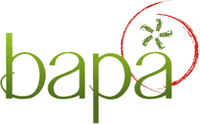 Bapa